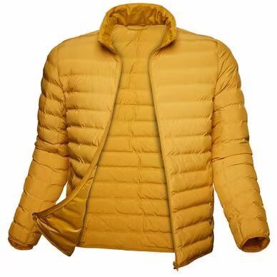 Men's down jacket 